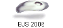 BJS 2006