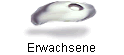 Erwachsene