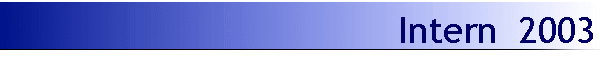 Intern  2003