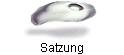 Satzung