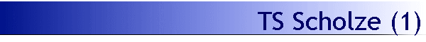 TS Scholze (1)