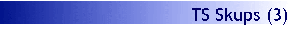 TS Skups (3)