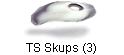 TS Skups (3)