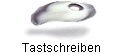 Tastschreiben