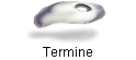 Termine