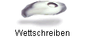 Wettschreiben